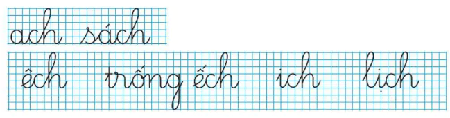 hinh-anh-bai-4-ach-ech-ich-479-4