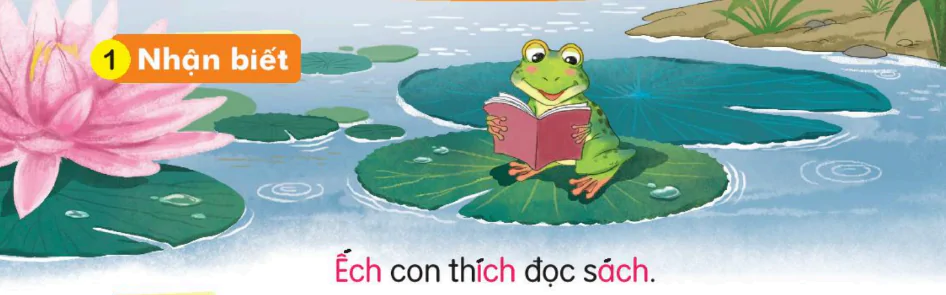 hinh-anh-bai-58-ach-ech-ich-158-0