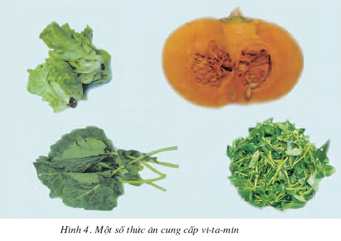 hinh-anh-bai-12-thuc-an-nuoi-ga-1817-3