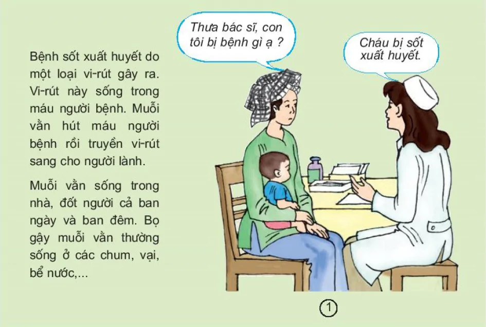 hinh-anh-bai-13-phong-benh-sot-xuat-huyet-1409-0