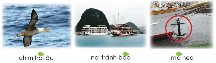 hinh-anh-bai-3-nu-hoang-cua-dao-941-4
