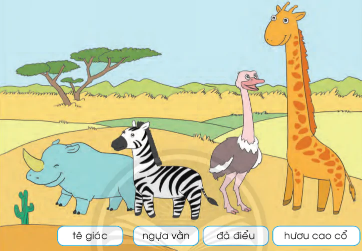 hinh-anh-do-dai-756-3