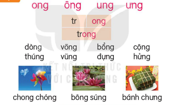 hinh-anh-bai-61-ong-ong-ung-ung-161-1