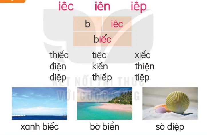 hinh-anh-bai-62-iec-ien-iep-162-1