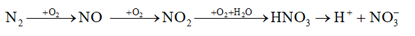 hinh-anh-bai-4-nitrogen-3677-13