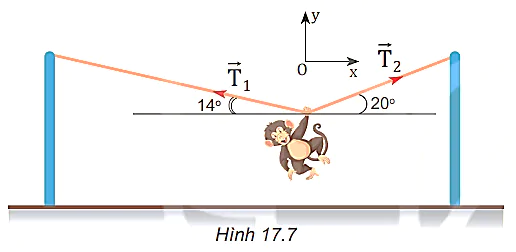 hinh-anh-bai-17-trong-luc-va-luc-cang-3798-13
