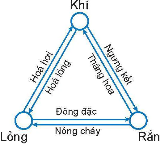 hinh-anh-bai-1-cau-truc-cua-chat-su-chuyen-the-13556-4