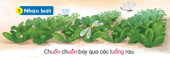 hinh-anh-bai-68-uon-uong-168-0