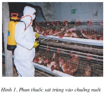 hinh-anh-bai-15-ve-sinh-phong-benh-cho-ga-1820-0