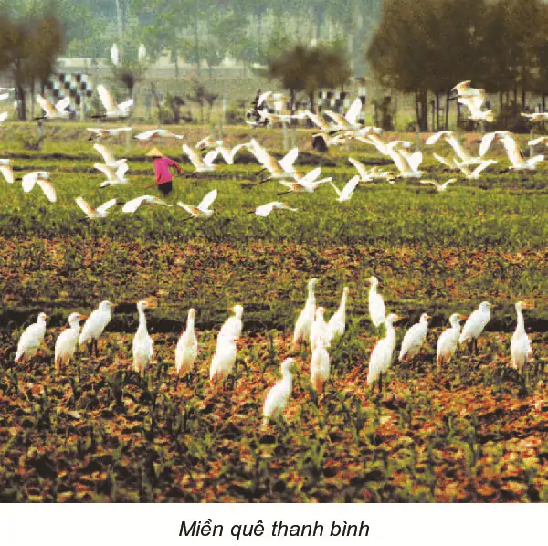 hinh-anh-bai-14-bao-ve-tai-nguyen-thien-nhien-1368-0