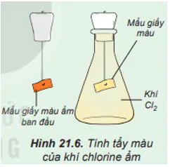 hinh-anh-bai-21-nhom-halogen-3774-8
