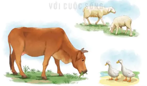 hinh-anh-bai-69-uoi-uou-169-3