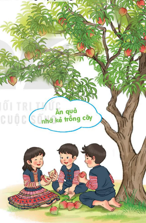 hinh-anh-bai-5-nho-on-312-0