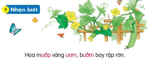 hinh-anh-bai-72-uom-uop-172-0