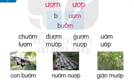 hinh-anh-bai-72-uom-uop-172-1