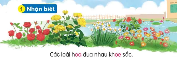 hinh-anh-bai-74-oa-oe-174-0