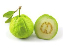 hinh-anh-bai-101-oi-oi-1238-0