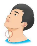 hinh-anh-bai-2-iet-yet-uot-uot-504-3