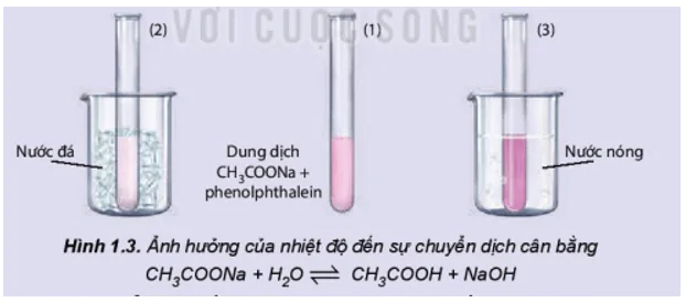 hinh-anh-bai-1-khai-niem-ve-can-bang-hoa-hoc-3471-16