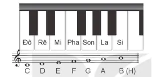 hinh-anh-chu-de-2-cuoc-song-tuoi-dep-52-4