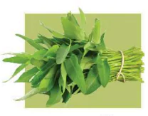 hinh-anh-bai-2-uong-uong-511-4
