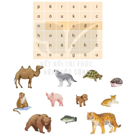 hinh-anh-bai-81-on-tap-181-0