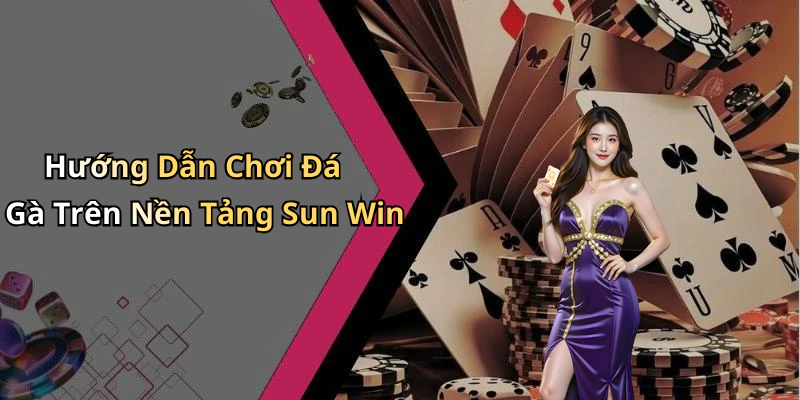 hinh-anh-da-ga-sun-win-trai-nghiem-giai-tri-truc-tuyen-hap-dan-moi-ngay-674-0