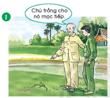 hinh-anh-bai-5-on-tap-va-ke-chuyen-514-2