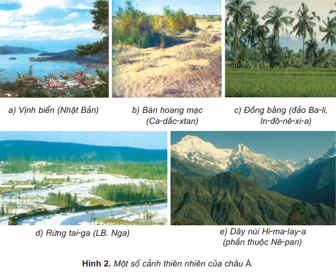 hinh-anh-bai-17-chau-a-457-1