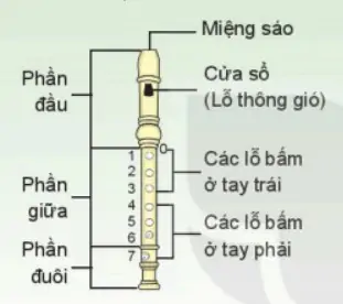 hinh-anh-chu-de-2-cuoc-song-tuoi-dep-52-6