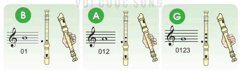 hinh-anh-chu-de-2-cuoc-song-tuoi-dep-52-7