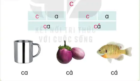 hinh-anh-bai-3-c-c-103-1