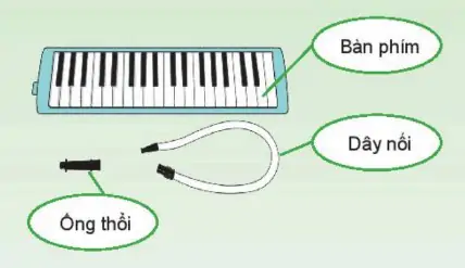 hinh-anh-chu-de-2-cuoc-song-tuoi-dep-52-9