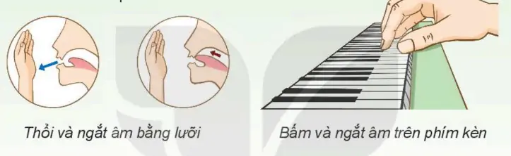 hinh-anh-chu-de-2-cuoc-song-tuoi-dep-52-10