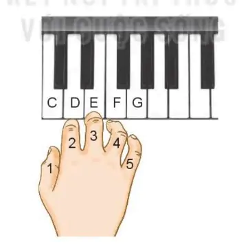 hinh-anh-chu-de-2-cuoc-song-tuoi-dep-52-11