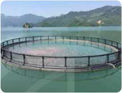 hinh-anh-bai-19-cong-nghe-nuoi-mot-so-loai-thuy-san-pho-bien-o-viet-nam-12286-1