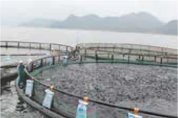 hinh-anh-bai-19-cong-nghe-nuoi-mot-so-loai-thuy-san-pho-bien-o-viet-nam-12286-3