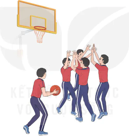 hinh-anh-bai-1-vai-tro-anh-huong-cua-mon-bong-ro-doi-voi-suc-khoe-va-xa-hoi-ke-hoach-tap-luyen-mon-bong-ro-12403-0