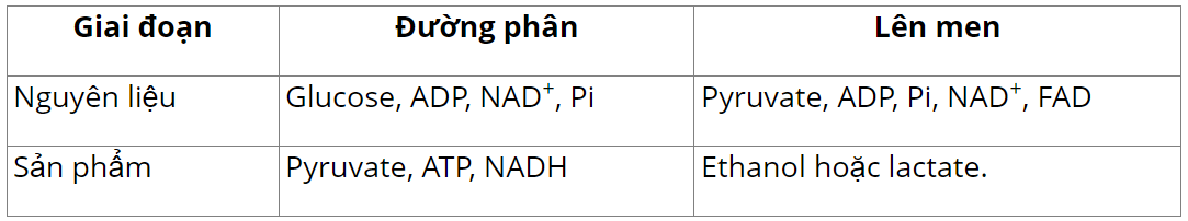 hinh-anh-bai-6-ho-hap-o-thuc-vat-3647-1