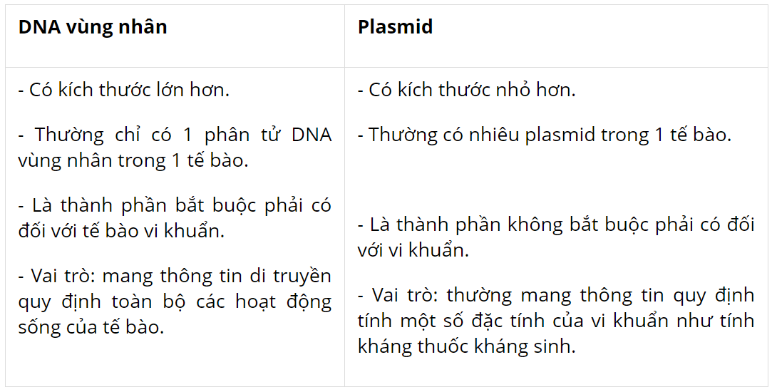 hinh-anh-bai-7-te-bao-nhan-so-3718-1