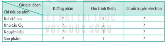 hinh-anh-bai-14-phan-giai-va-tong-hop-cac-chat-trong-te-bao-3725-1