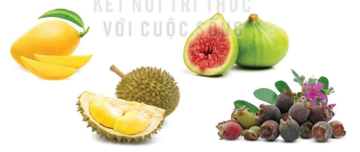 hinh-anh-bai-22-thu-gui-bo-ngoai-dao-7665-4