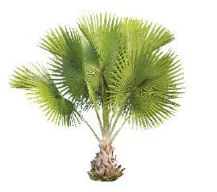 hinh-anh-bai-1-o-o-405-2