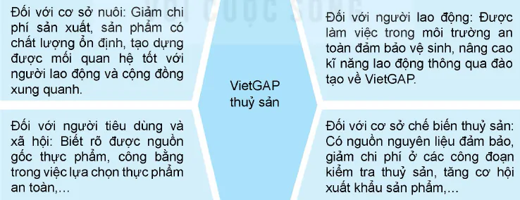 hinh-anh-bai-20-nuoi-thuy-san-theo-tieu-chuan-vietgap-12287-1