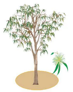 hinh-anh-bai-3-oanh-uynh-uych-769-6