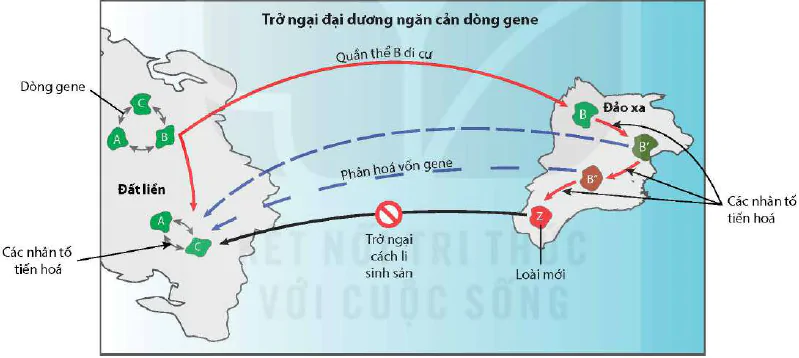 hinh-anh-bai-21-hoc-thuyet-tien-hoa-tong-hop-hien-dai-12983-1