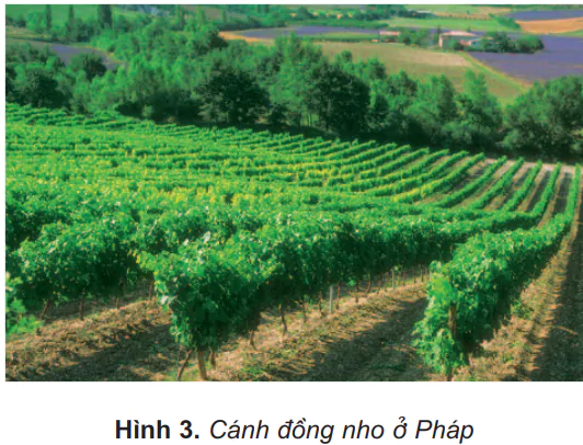 hinh-anh-bai-21-mot-so-nuoc-o-chau-au-466-2