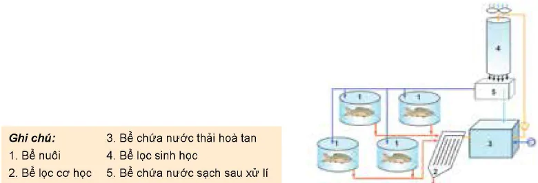 hinh-anh-bai-21-mot-so-ung-dung-cong-nghe-cao-trong-nuoi-thuy-san-12289-1
