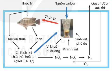 hinh-anh-bai-21-mot-so-ung-dung-cong-nghe-cao-trong-nuoi-thuy-san-12289-4