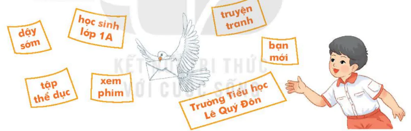 hinh-anh-on-tap-244-0